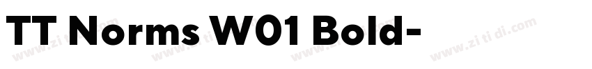 TT Norms W01 Bold字体转换 TT Norms W01 Bold字体转换